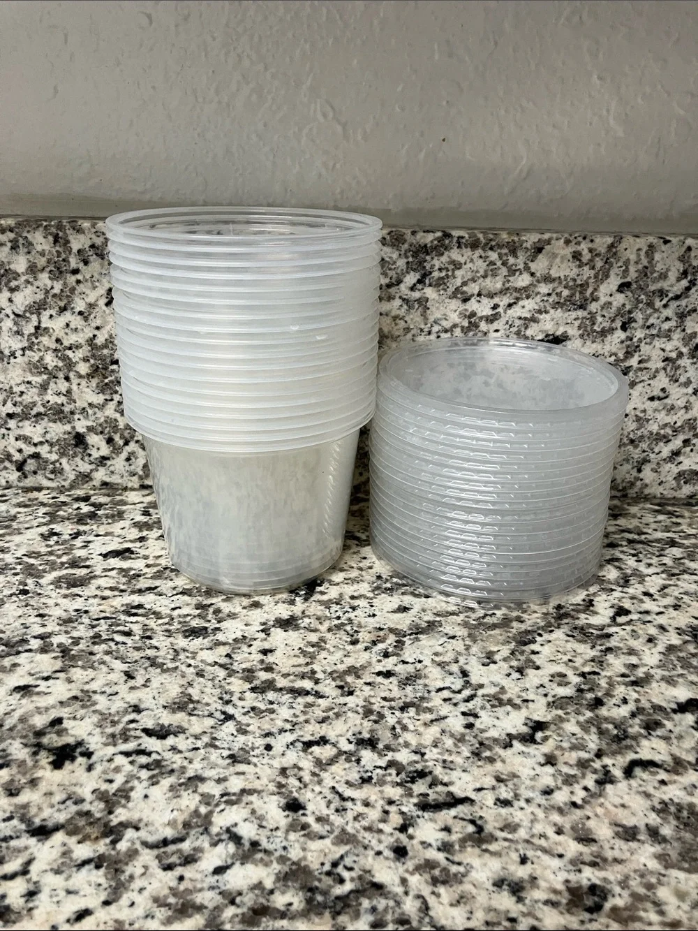 18 Gently Used Take Out Containers and 19 Gently Used Lids